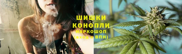 кокс Белокуриха