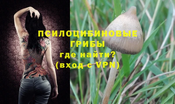 кокс Белокуриха