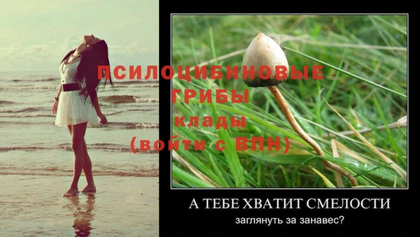 кокс Белокуриха